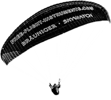 logo FFI